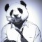 Mr_Panda